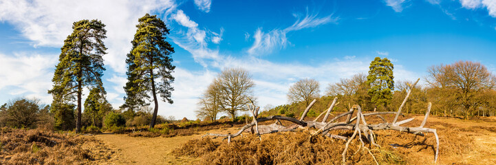 Naturlandschaft bei Sonnenschein
