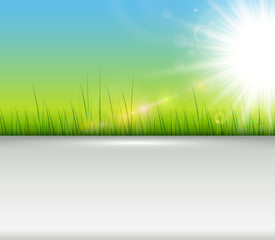 Fototapeta premium Green background with copy space, vector spring background