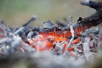 Bonfire in Yakushima.