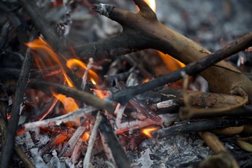 Bonfire in Yakushima.