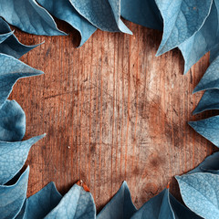Blue leaves on wooden background