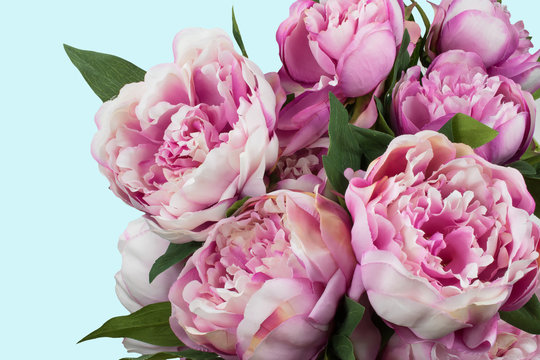 Fototapeta Peony flowers bouquet