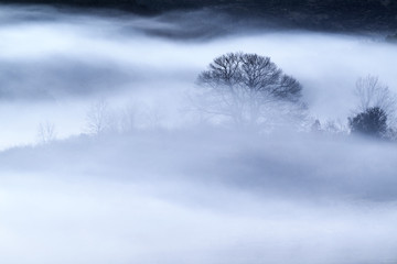 Misty landcape