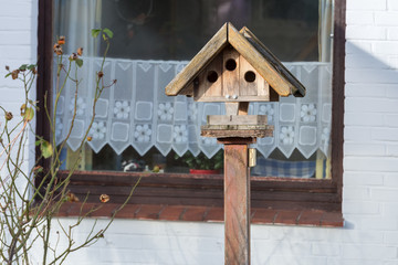 wooden house for the birds