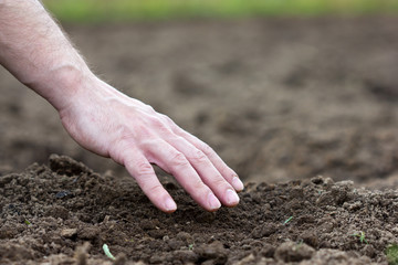 man's hand on arable soil