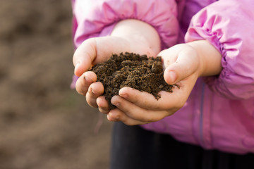a handful of arable soil in the hands of a child