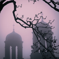 Spooky Towers In Autumn Fog