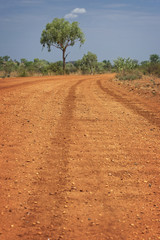 Fototapeta na wymiar Outback Track in Westaustralien