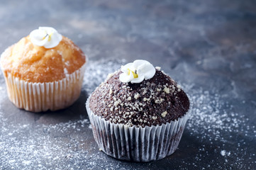 homemade chokolate and vanilla capcakes