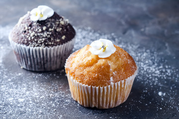 homemade chokolate and vanilla capcakes