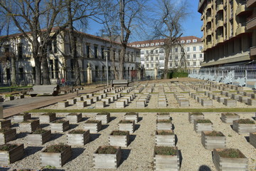 Un jard&iacute;n zen