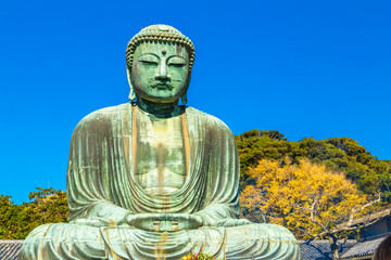 The Great Buddha in Kamakura.  Located in Kamakura, Kanagawa Prefecture Japan.There are pigeon to Buddha's head.
