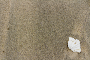 Sandy background for your creativity. Soft sand beaches of Indonesia.