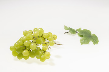 Gelbe Weintrauben auf weissem Hintergrund