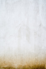 Texture of a mold wall.