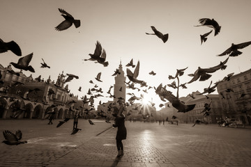Fototapeta Doves in flight over old city main square in Krakow, Poland obraz