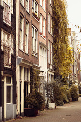 Fototapeta na wymiar Beautiful street with houses decorated with plants in the capital of the Netherlands - Amsterdam. European-style housing.