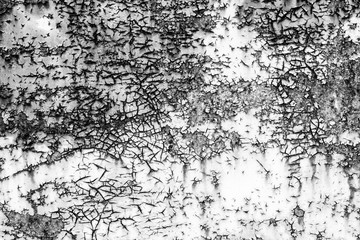 Texture of a rusty door.