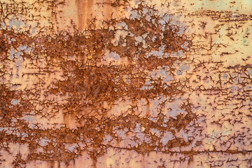 Obraz premium Texture of a rusty door.