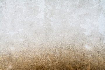 Texture of a mold wall. - obrazy, fototapety, plakaty