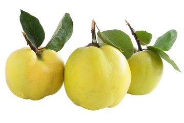 sour and hard fruits quinces