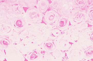 Blurred of sweet roses in pastel color style on soft blur bokeh