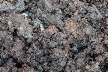 soil texture for background