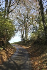 Fototapeta premium Switzerland