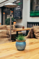 A grass pot on empty wooden table in European street cafe terrace, summer restaurant decoration