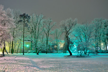Zimowy park w nocy w niezwykłym oświetleniu.