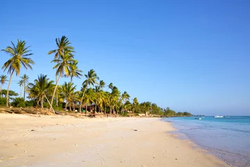 Muurstickers Sand beach with palm trees, Kizimkazi, Zanzibar © Oleksandr Dibrova