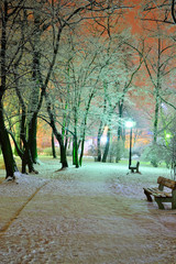 Zimowy park w nocy w niezwykłym oświetleniu.