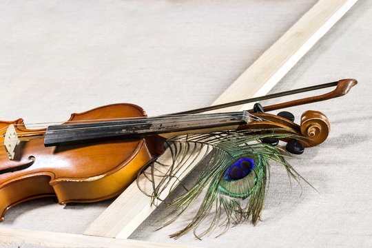 Violin and bow and peacock feather are lying on subframe