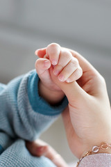 Obraz premium A small pink pen newborn firmly holding the thumb of the hands of the mother,the baby is dressed in a knitted sweater of blue color on the wrist of the mother gold bracelet