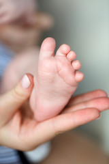 Mom planted her newborn son on his lap,his caring hands gently holding a pink feet baby legs,body parts,Mama's hands and feet newborn baby