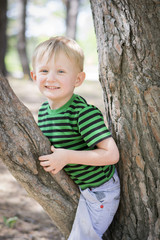 Happy young boy sitting in a tree at the park
