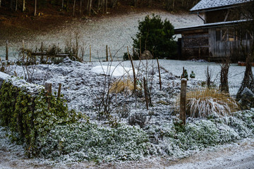 vereister, von Reif und Schnee überzogener Bauerngarten in den Alpen (A, Bregenzerwald, Bezau) im...