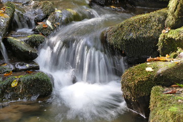 Fototapeta na wymiar rivulet and his small waterfall