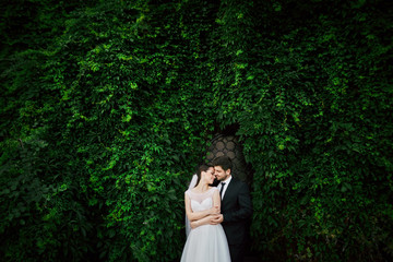 Sensitive wedding photo