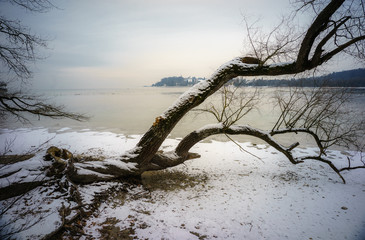 D, Bodensee, Insel Mainau im Winter