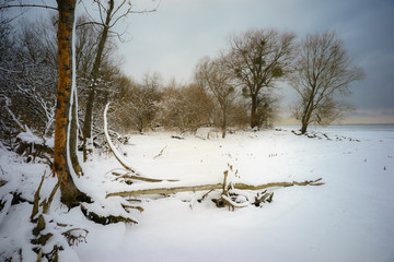 D, Bodensee, Winter im Eriskircher Ried