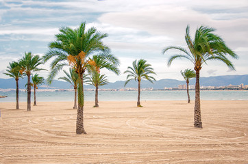 Obraz premium Tropical beach with palm trees