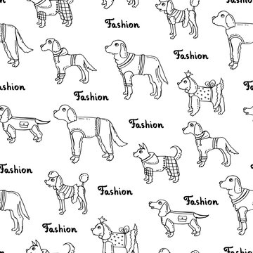 Vector seamless pattern with hand drawn isolated dogs on white color. Background for use in design