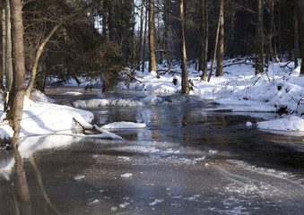 Wildbach im Winter