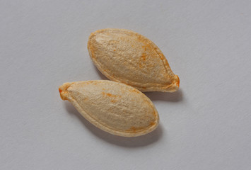 Two pumpkin seeds on the white background