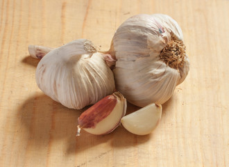 Garlic
