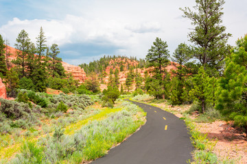 Mountain road at  Bryce Canyon National Park