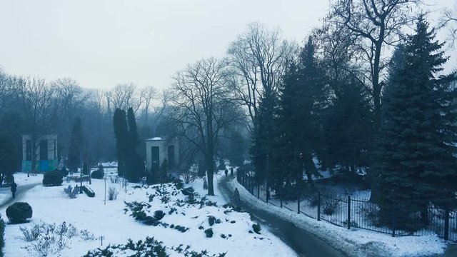 Winter city park in a foggy day, panoramic view