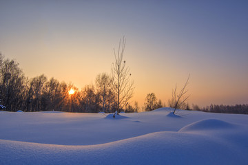 Fototapeta na wymiar Background with winter landscape of trees and sun