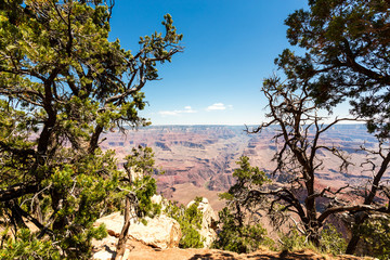Grand Canyon National Park wild nature